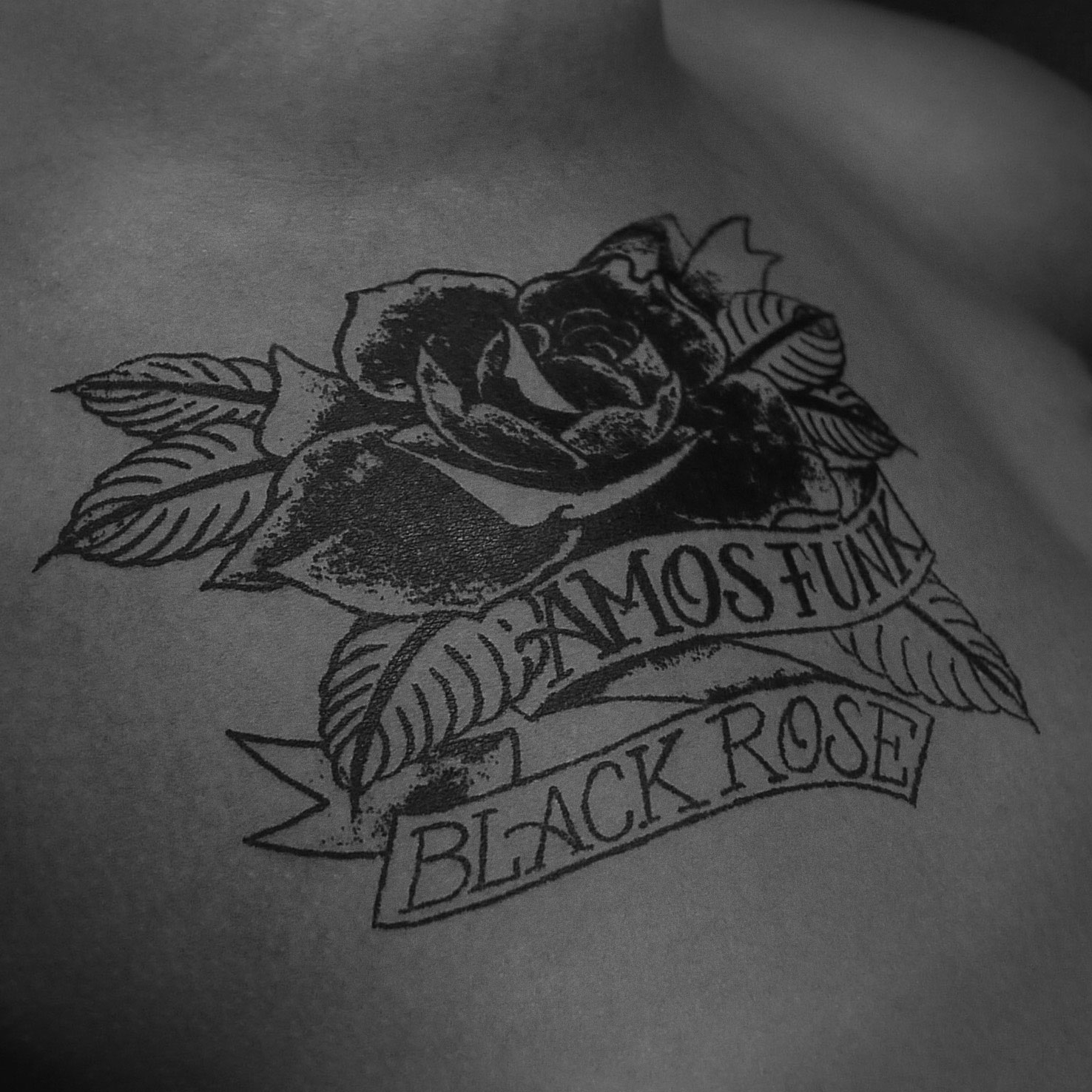 עמוס פאנק – "black rose"